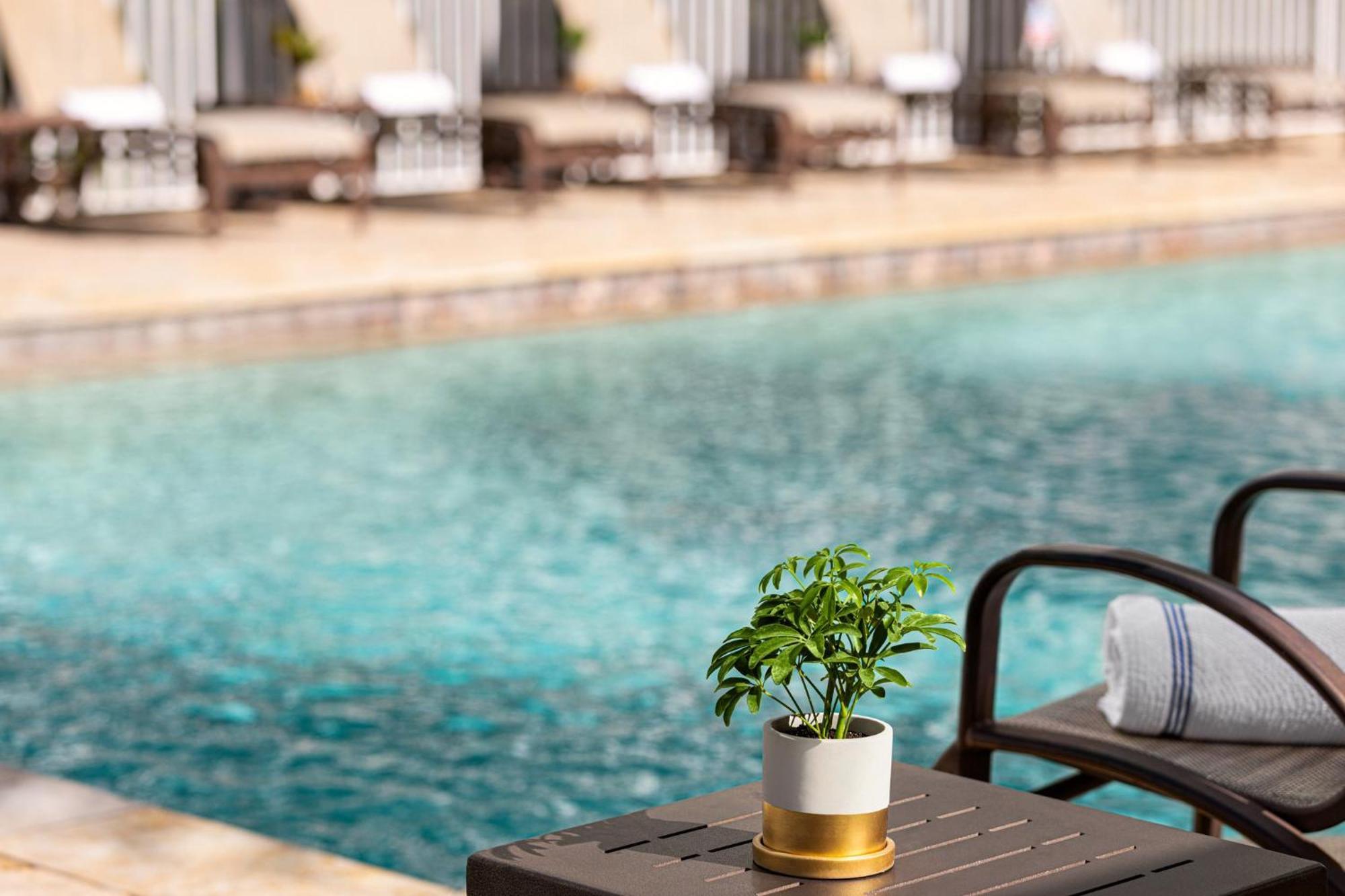 Hotel Crowne Plaza Orlando-downtown By Ihg Orlando